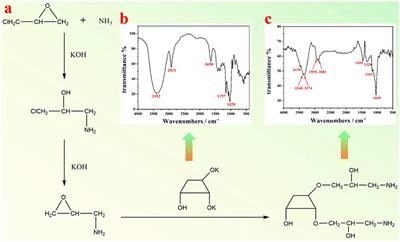 A Strategy for Prompt <mark class="highlighted">Phase Transfer</mark> of Upconverting Nanoparticles Through Surface Oleate-Mediated Supramolecular Assembly of Amino-β-Cyclodextrin